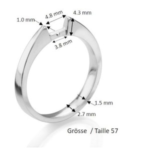 Ringschiene gestanzt