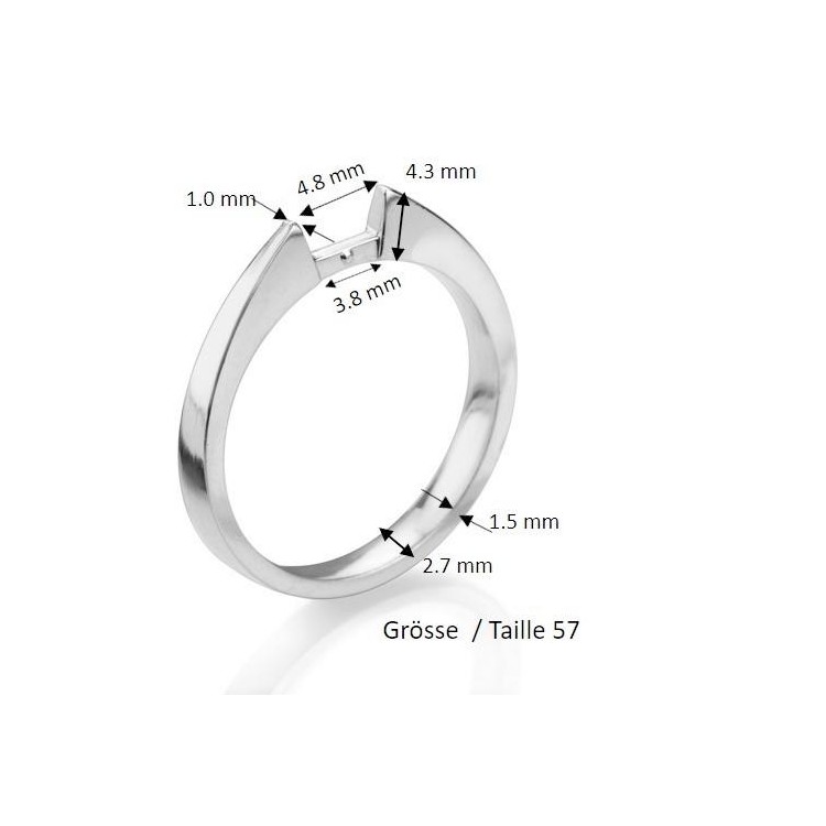 Ringschiene gestanzt