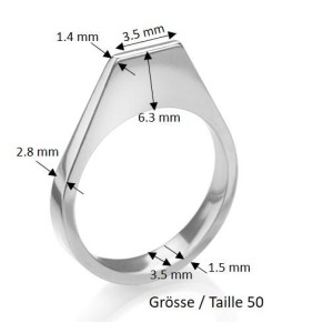 Ringschiene Guss