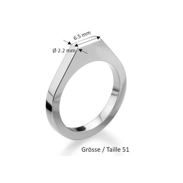 Ringschiene Guss