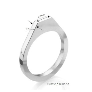 Ringschiene Guss