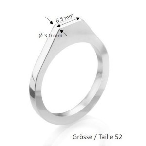 Ringschiene Guss